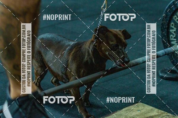 Buy your photos of the eventDog Wod - Crossfit Saurus on Fotop