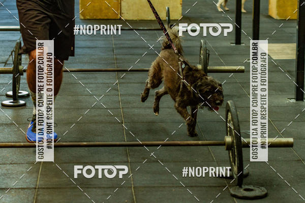 Buy your photos of the eventDog Wod - Crossfit Saurus on Fotop