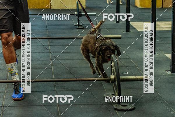 Buy your photos of the eventDog Wod - Crossfit Saurus on Fotop