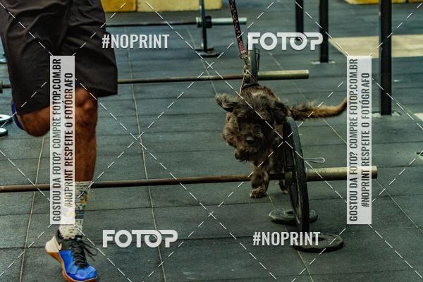 Buy your photos of the eventDog Wod - Crossfit Saurus on Fotop