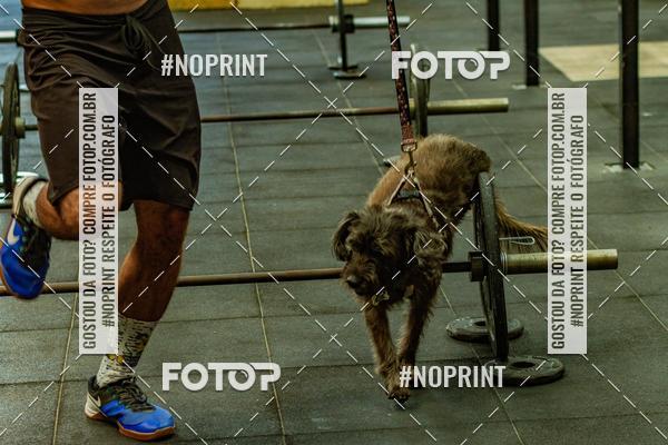 Buy your photos of the eventDog Wod - Crossfit Saurus on Fotop