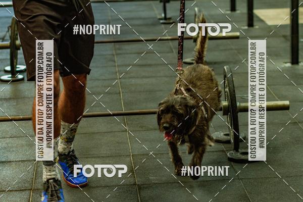 Buy your photos of the eventDog Wod - Crossfit Saurus on Fotop