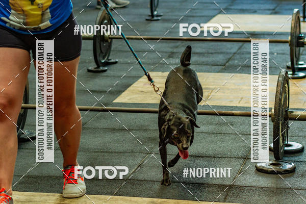 Buy your photos of the eventDog Wod - Crossfit Saurus on Fotop