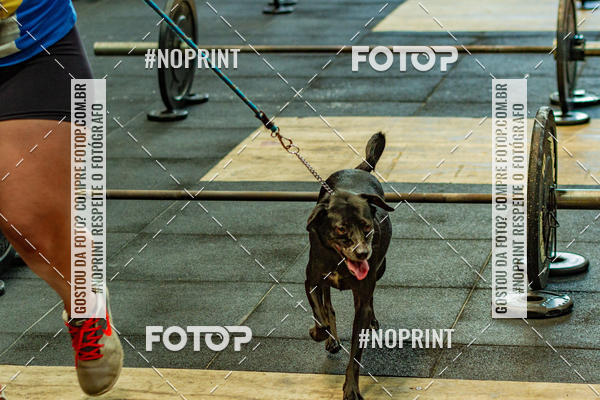 Buy your photos of the eventDog Wod - Crossfit Saurus on Fotop