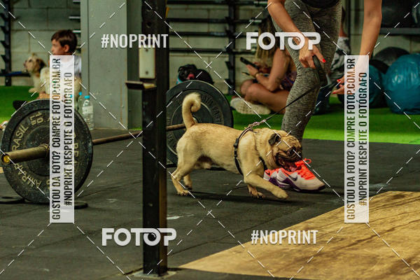Buy your photos of the eventDog Wod - Crossfit Saurus on Fotop