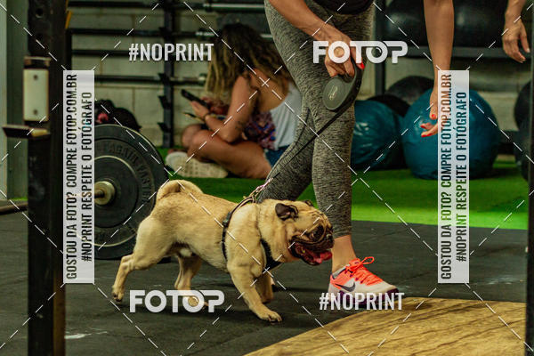 Buy your photos of the eventDog Wod - Crossfit Saurus on Fotop