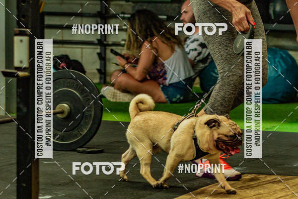 Buy your photos of the eventDog Wod - Crossfit Saurus on Fotop