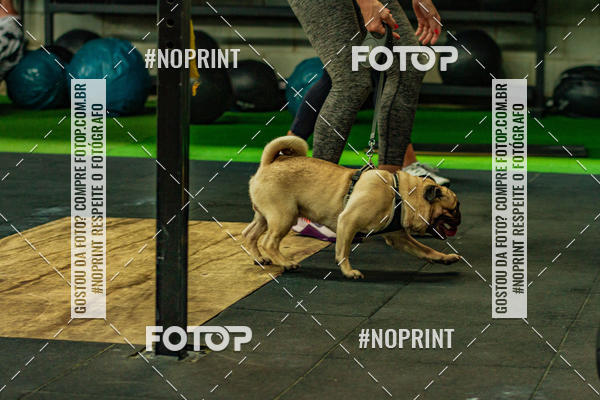 Buy your photos of the eventDog Wod - Crossfit Saurus on Fotop