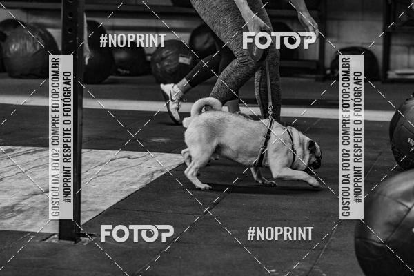 Buy your photos of the eventDog Wod - Crossfit Saurus on Fotop