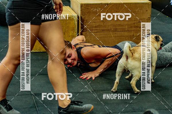 Buy your photos of the eventDog Wod - Crossfit Saurus on Fotop