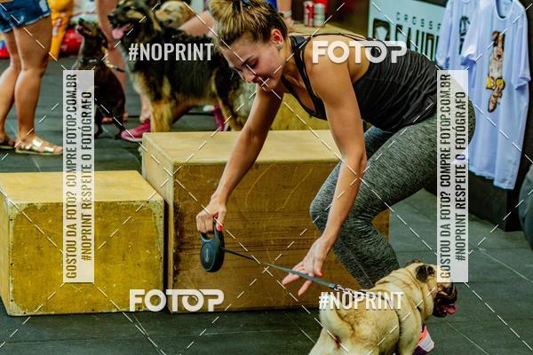 Buy your photos of the eventDog Wod - Crossfit Saurus on Fotop