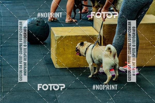Buy your photos of the eventDog Wod - Crossfit Saurus on Fotop