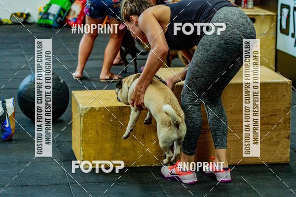 Buy your photos of the eventDog Wod - Crossfit Saurus on Fotop