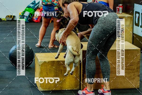 Buy your photos of the eventDog Wod - Crossfit Saurus on Fotop