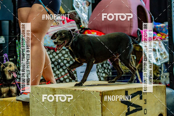 Buy your photos of the eventDog Wod - Crossfit Saurus on Fotop