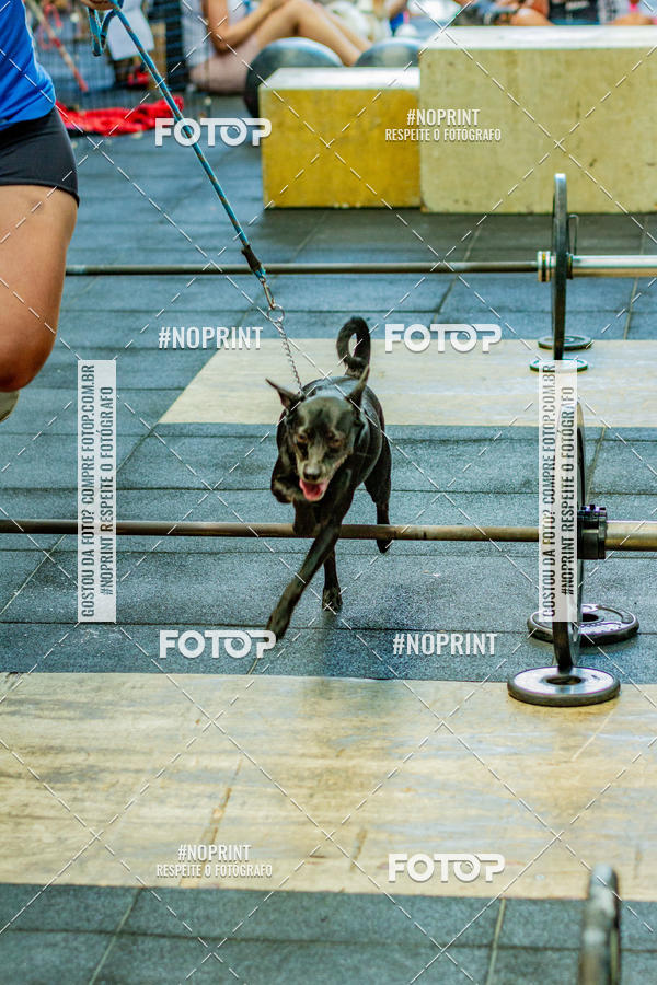 Buy your photos of the eventDog Wod - Crossfit Saurus on Fotop