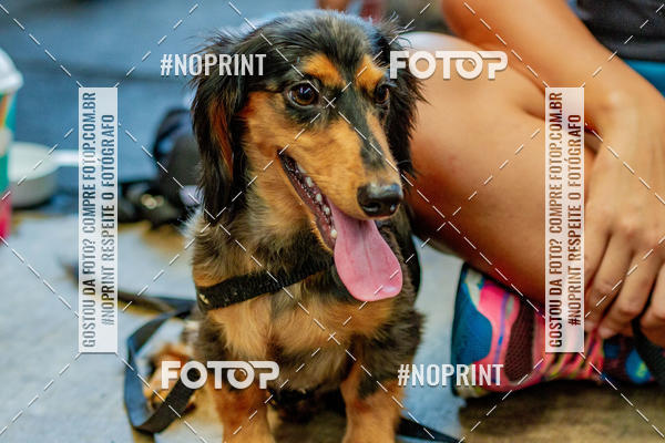 Buy your photos of the eventDog Wod - Crossfit Saurus on Fotop