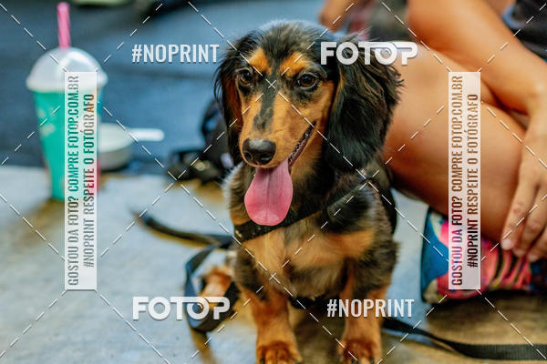 Buy your photos of the eventDog Wod - Crossfit Saurus on Fotop