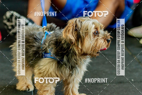 Buy your photos of the eventDog Wod - Crossfit Saurus on Fotop