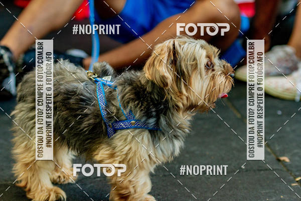 Buy your photos of the eventDog Wod - Crossfit Saurus on Fotop