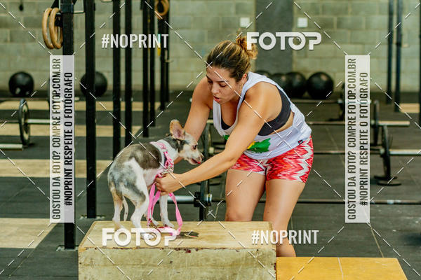 Buy your photos of the eventDog Wod - Crossfit Saurus on Fotop