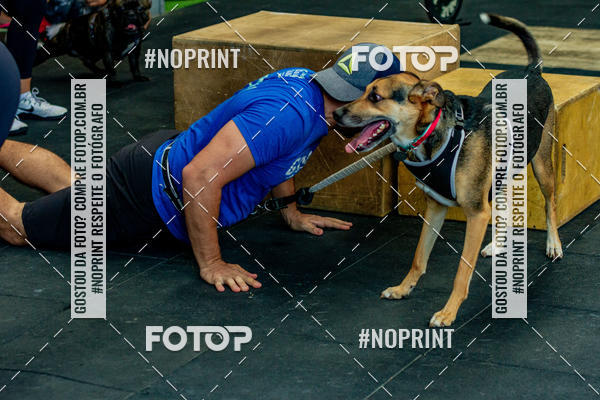 Buy your photos of the eventDog Wod - Crossfit Saurus on Fotop