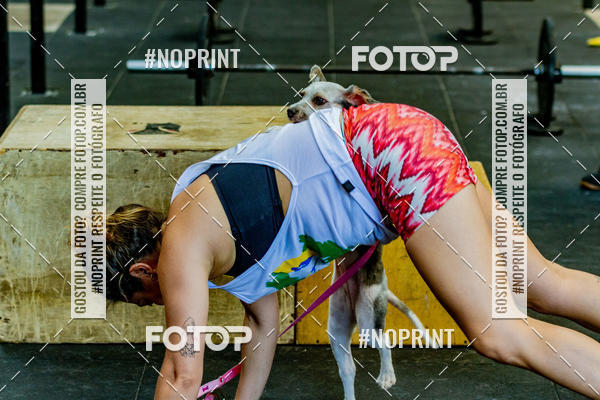 Buy your photos of the eventDog Wod - Crossfit Saurus on Fotop