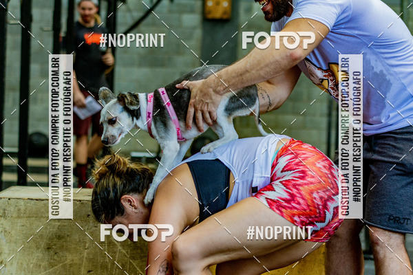 Buy your photos of the eventDog Wod - Crossfit Saurus on Fotop