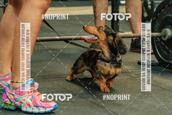 Buy your photos of the eventDog Wod - Crossfit Saurus on Fotop