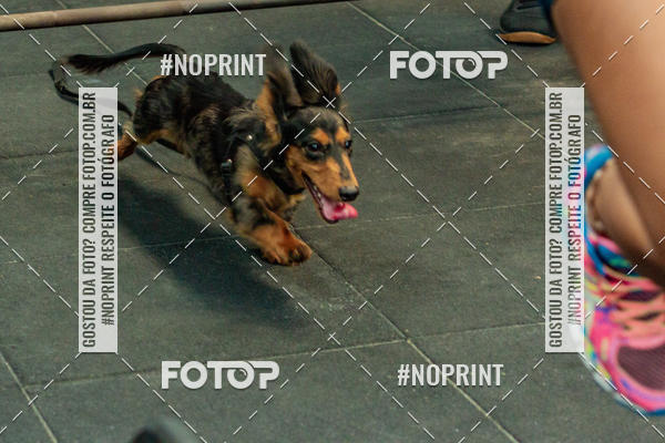 Buy your photos of the eventDog Wod - Crossfit Saurus on Fotop