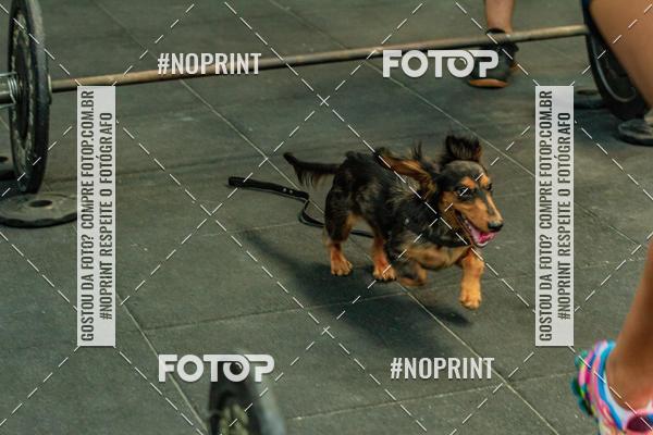 Buy your photos of the eventDog Wod - Crossfit Saurus on Fotop