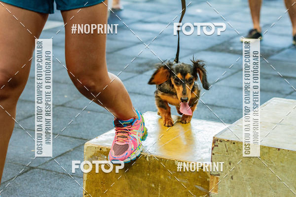 Buy your photos of the eventDog Wod - Crossfit Saurus on Fotop