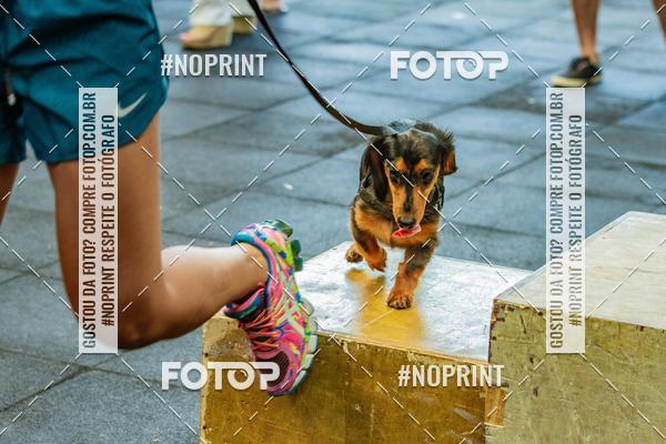 Buy your photos of the eventDog Wod - Crossfit Saurus on Fotop