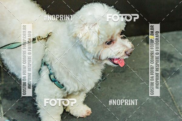 Buy your photos of the eventDog Wod - Crossfit Saurus on Fotop