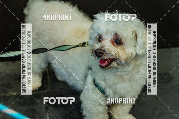 Buy your photos of the eventDog Wod - Crossfit Saurus on Fotop