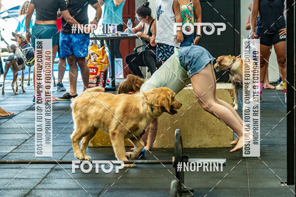 Buy your photos of the eventDog Wod - Crossfit Saurus on Fotop