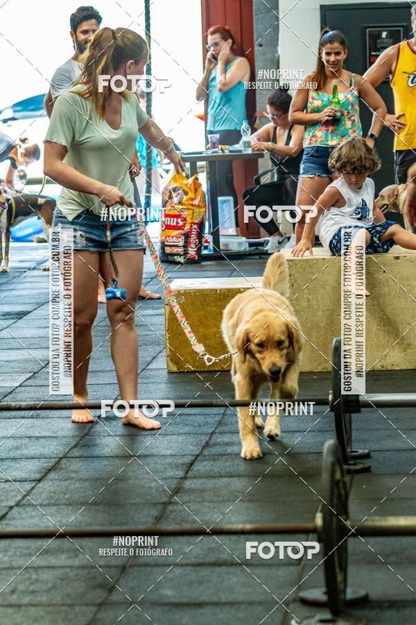 Buy your photos of the eventDog Wod - Crossfit Saurus on Fotop
