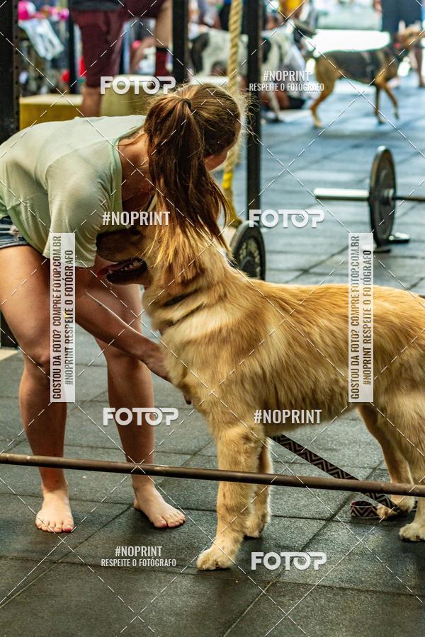 Buy your photos of the eventDog Wod - Crossfit Saurus on Fotop