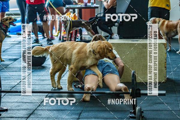 Buy your photos of the eventDog Wod - Crossfit Saurus on Fotop