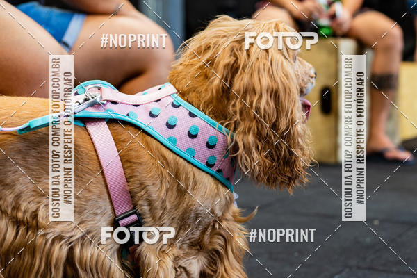 Buy your photos of the eventDog Wod - Crossfit Saurus on Fotop