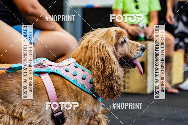 Buy your photos of the eventDog Wod - Crossfit Saurus on Fotop