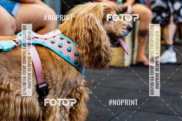 Buy your photos of the eventDog Wod - Crossfit Saurus on Fotop