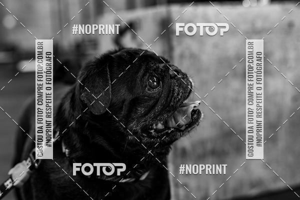 Buy your photos of the eventDog Wod - Crossfit Saurus on Fotop