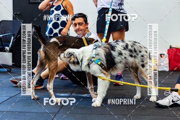 Buy your photos of the eventDog Wod - Crossfit Saurus on Fotop