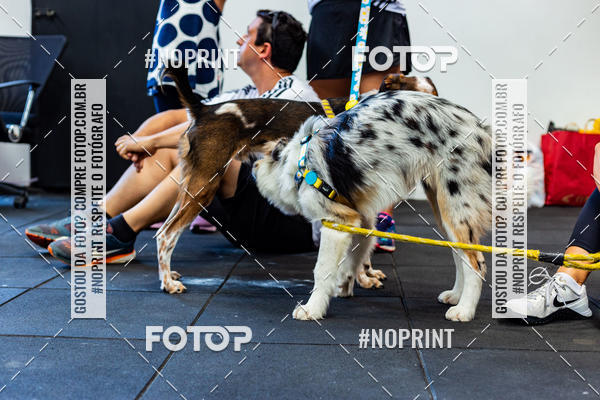 Buy your photos of the eventDog Wod - Crossfit Saurus on Fotop