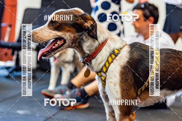 Buy your photos of the eventDog Wod - Crossfit Saurus on Fotop