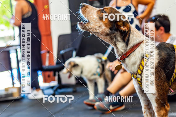 Buy your photos of the eventDog Wod - Crossfit Saurus on Fotop