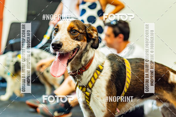 Buy your photos of the eventDog Wod - Crossfit Saurus on Fotop