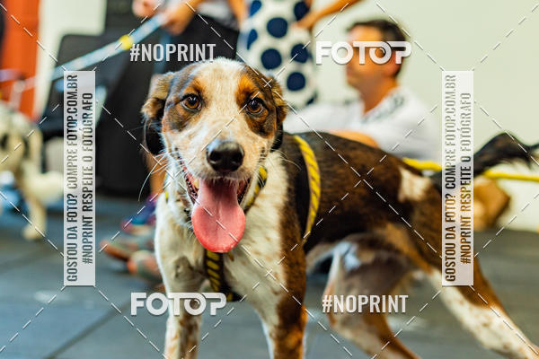 Buy your photos of the eventDog Wod - Crossfit Saurus on Fotop