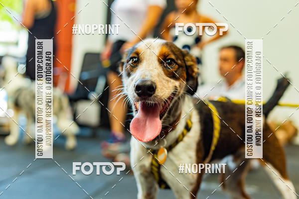 Buy your photos of the eventDog Wod - Crossfit Saurus on Fotop